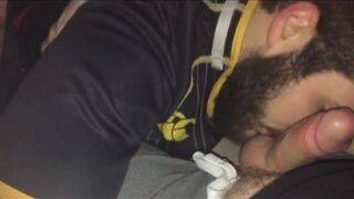 gay cubs bear hairy bearded guys compilation vol 1