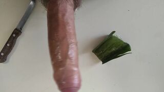 Big Hairy Cock Is Massaged With Aloe Vera Until He Cums - 11 image