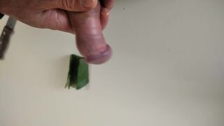 Big Hairy Cock Is Massaged With Aloe Vera Until He Cums - 3 image
