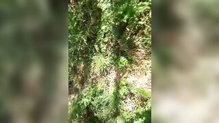 Suhani boyfriend in jungle caught pissing - 1 image