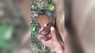 BBC alone in forest very hard masturbating - 1 image