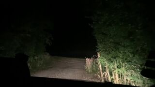 Hot gay blowjob in the car - 2 image