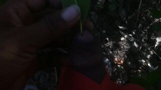 Indian desi boys outside sex video - 9 image