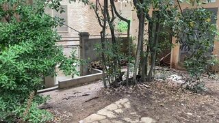 Cruising Cum Slut Gay Outdoors Blowjob Compilation with cumshots - 13 image