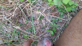 Masturbating on forest outside - 13 image