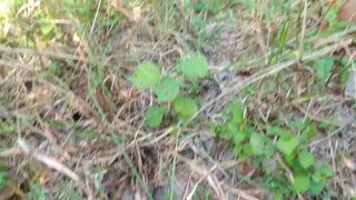 Masturbating on forest outside - 3 image