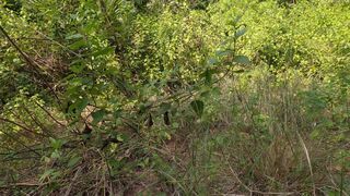 Masturbating on forest outside