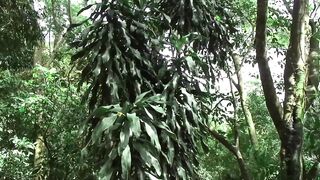 Two sexy Latinos have passionate anal fucking outdoors