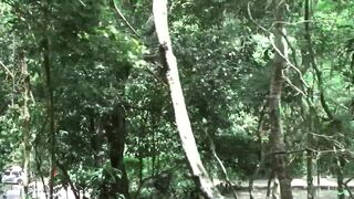 Two sexy Latinos have passionate anal fucking outdoors