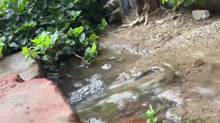 A Friend Came in, Saw Me Naked and Got an Erection - Deep Blowjob, Ass Fucking Part 1