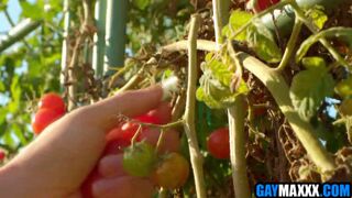 Jc Hunt & Derek Kage get wild after a steamy date night