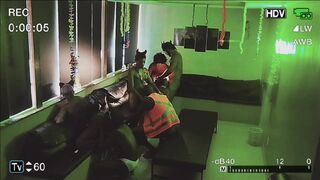 Rio's wild carnival party with bareback bareback bareback anal, blowjobs, and wild bareback bareback sex!