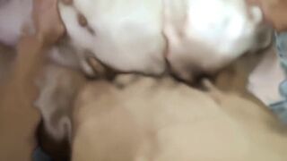 Bruno Pesao Sp & friends share a steamy threesome with a creampied bear - Pornstar Action! - 12 image