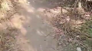 Get ready for a wild public orgy with Kinholiver, Bitchmansp, Vamosagilizar, and their friends in - 1 image